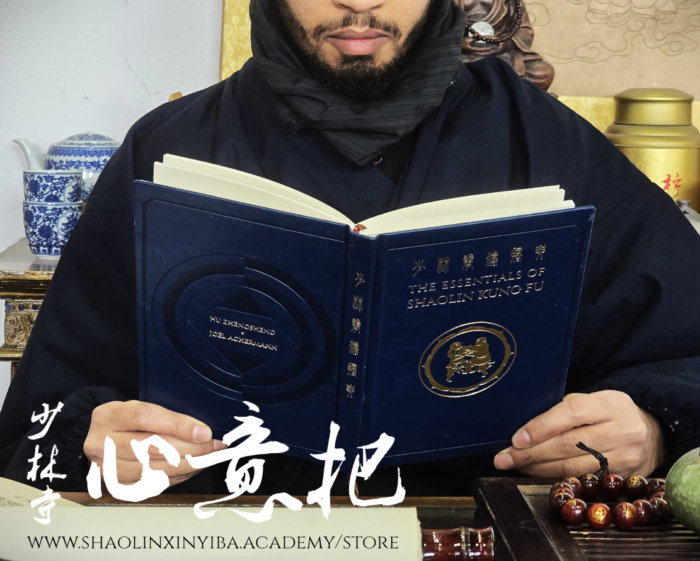 Ancient Shaolin Manual: The Essentials of Shaolin Kung Fu - Image 3